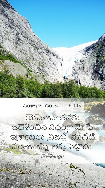 సంఖ్యాకాండం 3:42 TELIRV Mobile Phone Wallpaper - యెహోవా తనకు - Mobile Bible Verse Wallpaper