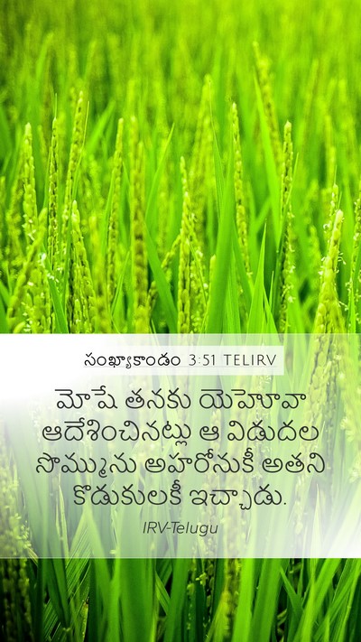 సంఖ్యాకాండం 3:51 TELIRV Mobile Phone Wallpaper - మోషే తనకు యెహోవా - Mobile Bible Verse Wallpaper