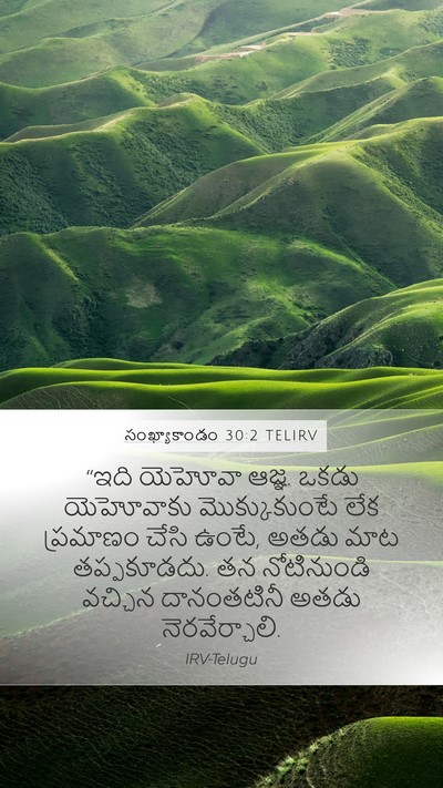 సంఖ్యాకాండం 30:2 TELIRV Bible Verse Image