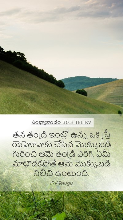 సంఖ్యాకాండం 30:3 TELIRV Mobile Phone Wallpaper - తన తండ్రి ఇంట్లో - Mobile Bible Verse Wallpaper