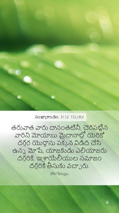 సంఖ్యాకాండం 31:12 TELIRV Bible Verse Image