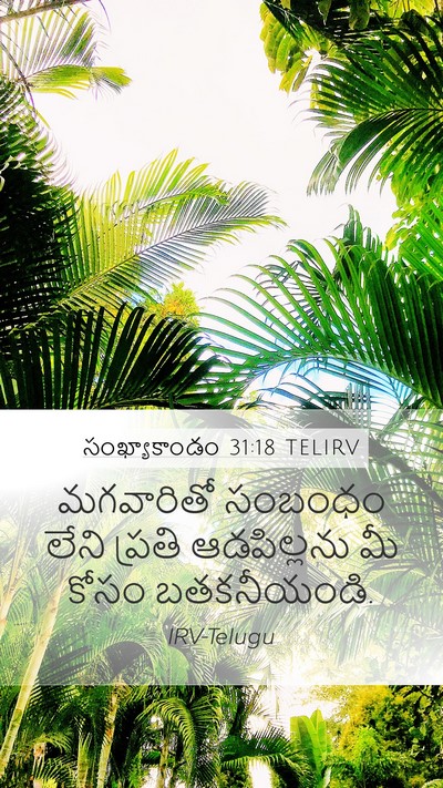 సంఖ్యాకాండం 31:18 TELIRV Mobile Phone Wallpaper - మగవారితో సంబంధం - Mobile Bible Verse Wallpaper