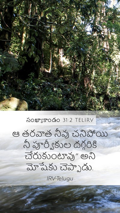 సంఖ్యాకాండం 31:2 TELIRV Bible Verse Image