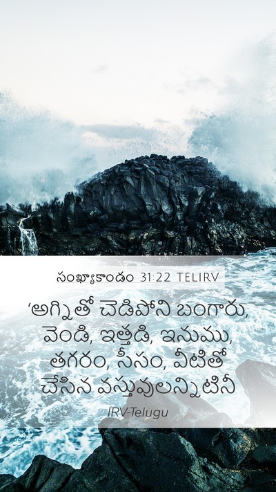 సంఖ్యాకాండం 31:22 TELIRV Bible Verse Image