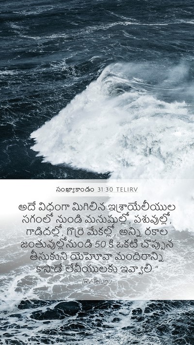 సంఖ్యాకాండం 31:30 TELIRV Bible Verse Image