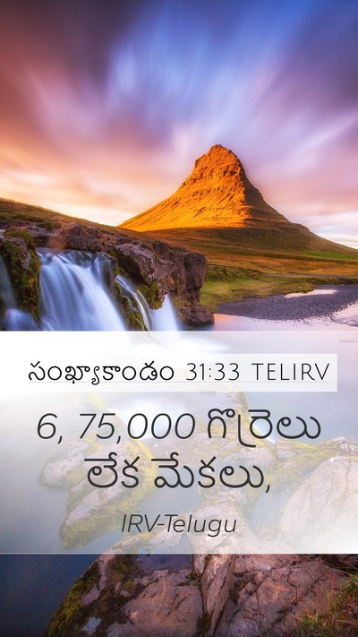 సంఖ్యాకాండం 31:33 TELIRV Mobile Phone Wallpaper - 6, 75,000 గొర్రెలు లేక - Mobile Bible Verse Wallpaper