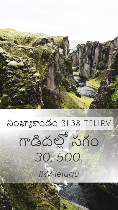 సంఖ్యాకాండం 31:38 TELIRV Mobile Phone Wallpaper - గాడిదల్లో సగం 30, - Mobile Bible Verse Wallpaper