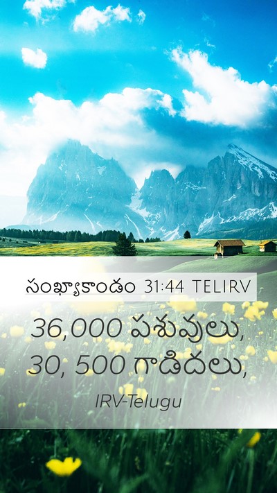 సంఖ్యాకాండం 31:44 TELIRV Mobile Phone Wallpaper - 36,000 పశువులు, 30, 500 - Mobile Bible Verse Wallpaper