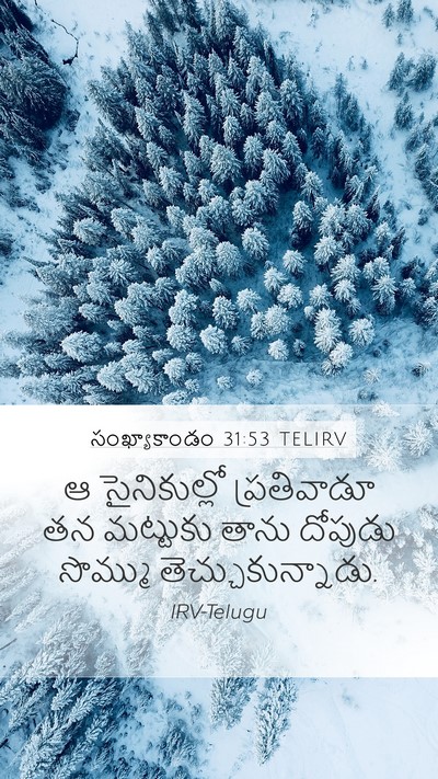 సంఖ్యాకాండం 31:53 TELIRV Mobile Phone Wallpaper - ఆ సైనికుల్లో - Mobile Bible Verse Wallpaper