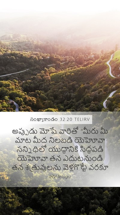 సంఖ్యాకాండం 32:20 TELIRV Bible Verse Image