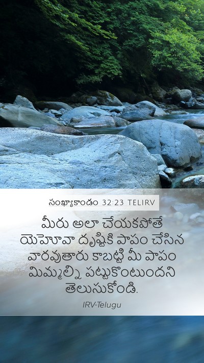 సంఖ్యాకాండం 32:23 TELIRV Bible Verse Image