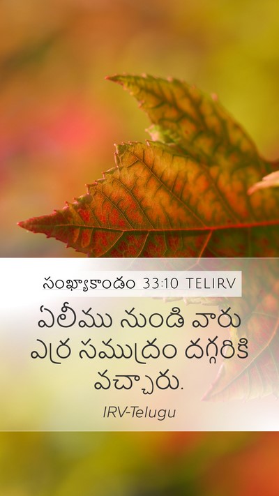 సంఖ్యాకాండం 33:10 TELIRV Mobile Phone Wallpaper - ఏలీము నుండి వారు - Mobile Bible Verse Wallpaper