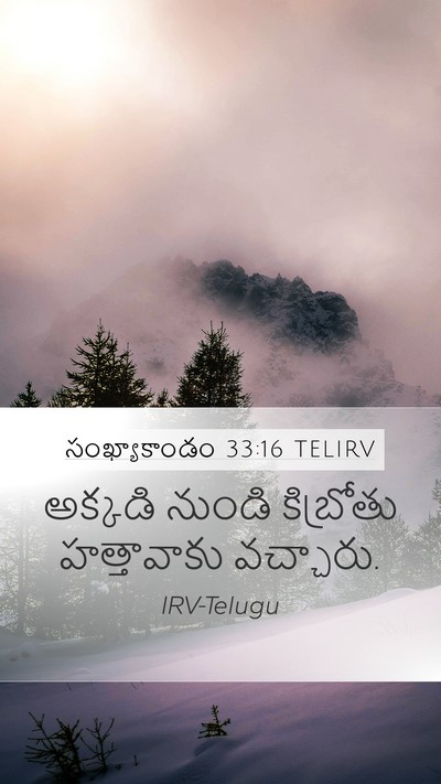 సంఖ్యాకాండం 33:16 TELIRV Bible Verse Image