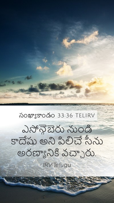 సంఖ్యాకాండం 33:36 TELIRV Bible Verse Image