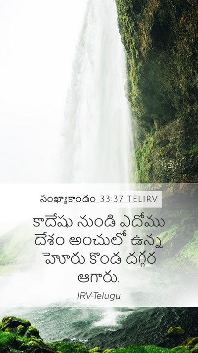సంఖ్యాకాండం 33:37 TELIRV Bible Verse Image