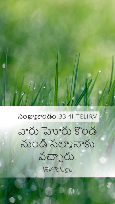 సంఖ్యాకాండం 33:41 TELIRV Bible Verse Image