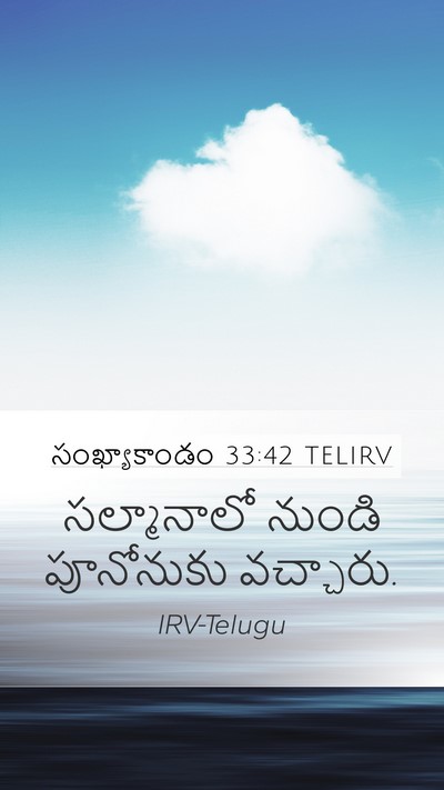 సంఖ్యాకాండం 33:42 TELIRV Mobile Phone Wallpaper - సల్మానాలో నుండి - Mobile Bible Verse Wallpaper