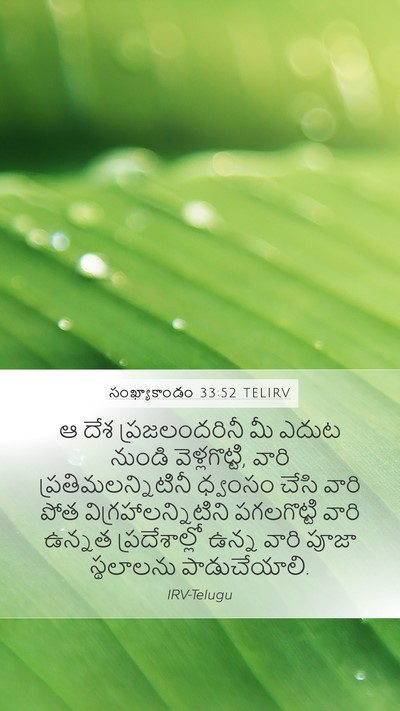 సంఖ్యాకాండం 33:52 TELIRV Bible Verse Image