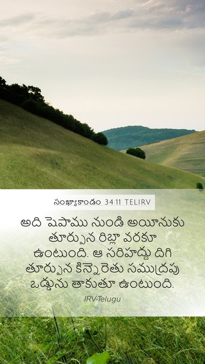 సంఖ్యాకాండం 34:11 TELIRV Bible Verse Image