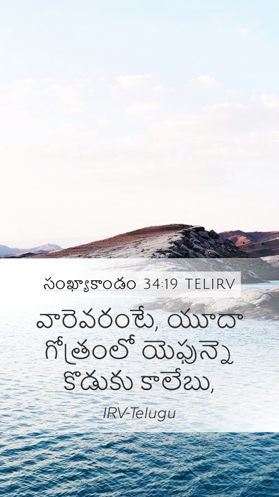 సంఖ్యాకాండం 34:19 TELIRV Bible Verse Image