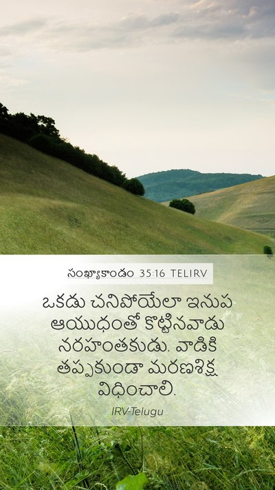 సంఖ్యాకాండం 35:16 TELIRV Bible Verse Image