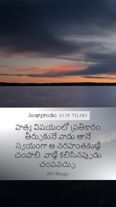 సంఖ్యాకాండం 35:19 TELIRV Bible Verse Image