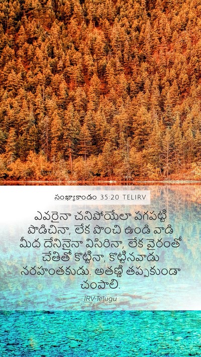 సంఖ్యాకాండం 35:20 TELIRV Mobile Phone Wallpaper - ఎవరైనా చనిపోయేలా - Mobile Bible Verse Wallpaper
