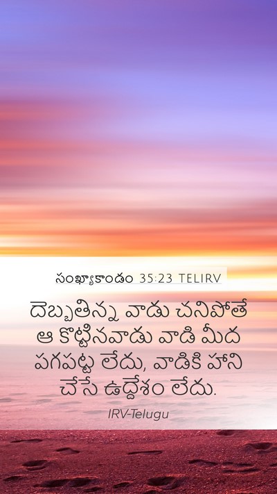 సంఖ్యాకాండం 35:23 TELIRV Mobile Phone Wallpaper - దెబ్బతిన్న వాడు - Mobile Bible Verse Wallpaper