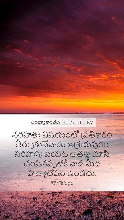 సంఖ్యాకాండం 35:27 TELIRV Bible Verse Image