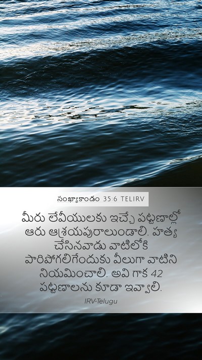 సంఖ్యాకాండం 35:6 TELIRV Bible Verse Image