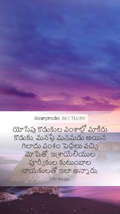 సంఖ్యాకాండం 36:1 TELIRV Bible Verse Image