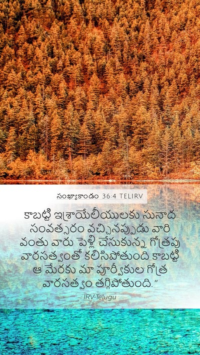 సంఖ్యాకాండం 36:4 TELIRV Bible Verse Image