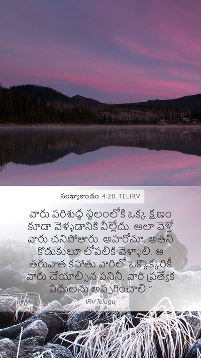 సంఖ్యాకాండం 4:20 TELIRV Mobile Phone Wallpaper - వారు పరిశుద్ధ - Mobile Bible Verse Wallpaper