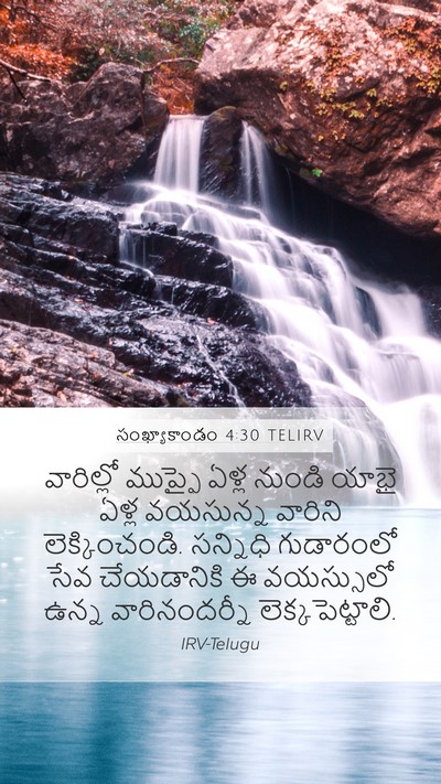 సంఖ్యాకాండం 4:30 TELIRV Bible Verse Image