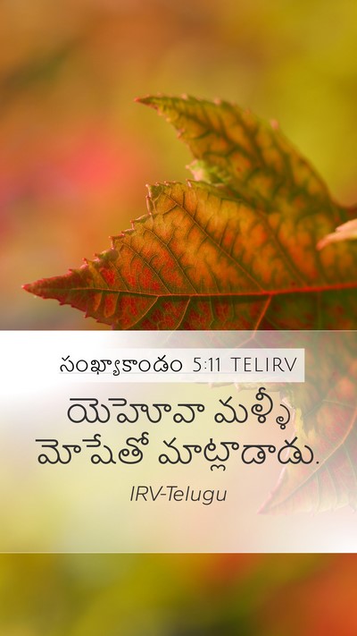 సంఖ్యాకాండం 5:11 TELIRV Mobile Phone Wallpaper - యెహోవా మళ్ళీ - Mobile Bible Verse Wallpaper