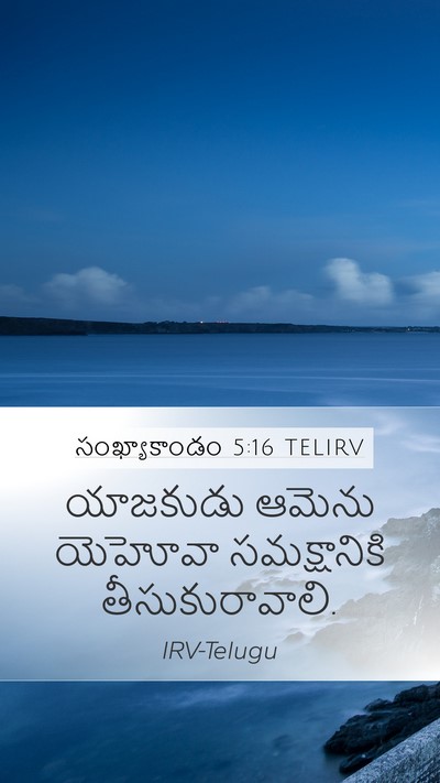 సంఖ్యాకాండం 5:16 TELIRV Mobile Phone Wallpaper - యాజకుడు ఆమెను - Mobile Bible Verse Wallpaper