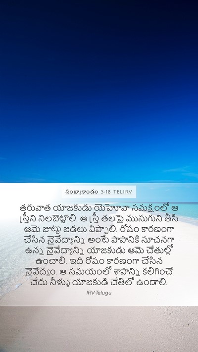సంఖ్యాకాండం 5:18 TELIRV Mobile Phone Wallpaper - తరువాత యాజకుడు - Mobile Bible Verse Wallpaper