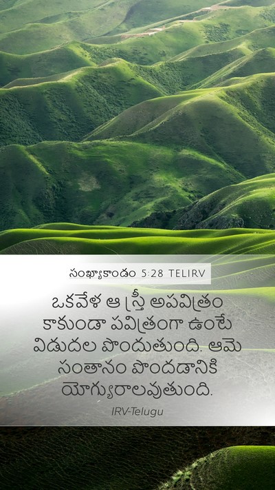 సంఖ్యాకాండం 5:28 TELIRV Mobile Phone Wallpaper - ఒకవేళ ఆ స్త్రీ - Mobile Bible Verse Wallpaper