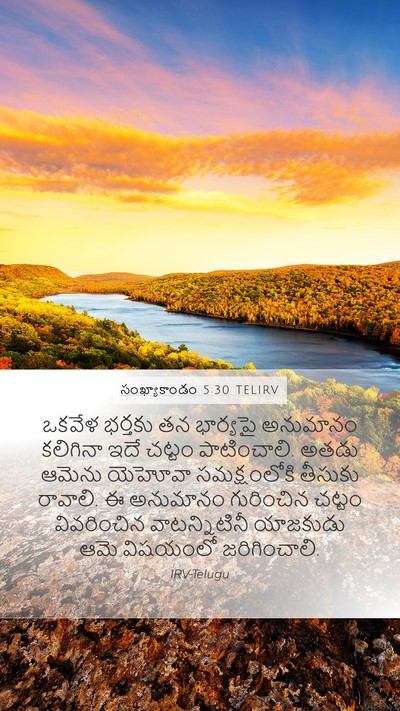 సంఖ్యాకాండం 5:30 TELIRV Bible Verse Image