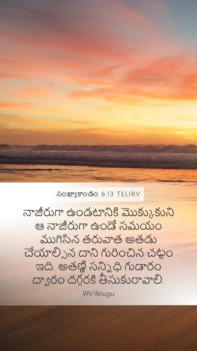 సంఖ్యాకాండం 6:13 TELIRV Bible Verse Image
