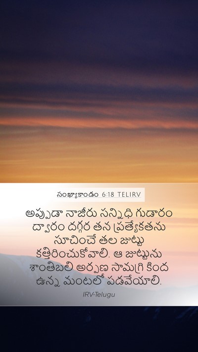 సంఖ్యాకాండం 6:18 TELIRV Bible Verse Image