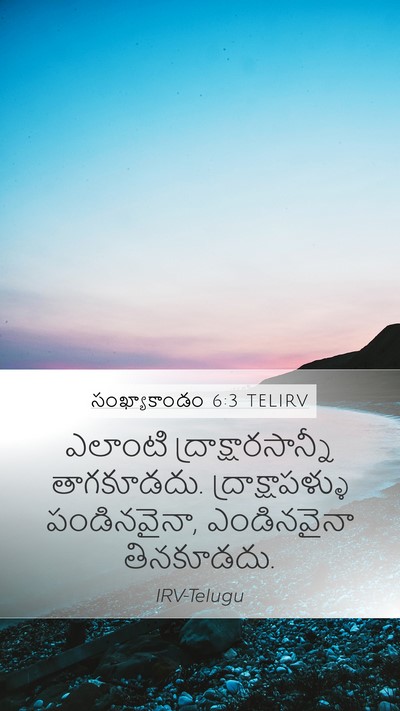 సంఖ్యాకాండం 6:3 TELIRV Mobile Phone Wallpaper - ఎలాంటి - Mobile Bible Verse Wallpaper