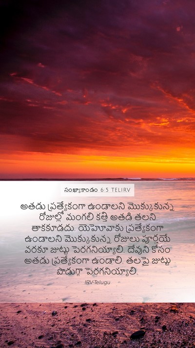 సంఖ్యాకాండం 6:5 TELIRV Bible Verse Image