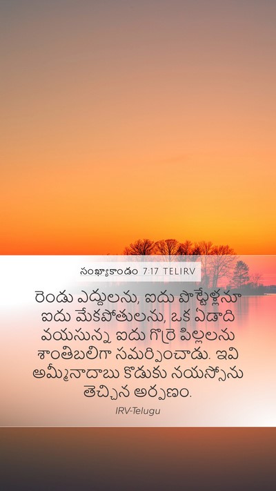 సంఖ్యాకాండం 7:17 TELIRV Bible Verse Image