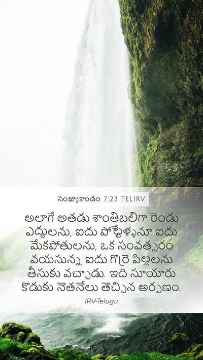 సంఖ్యాకాండం 7:23 TELIRV Bible Verse Image