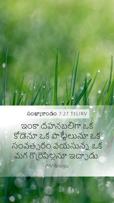 సంఖ్యాకాండం 7:27 TELIRV Bible Verse Image