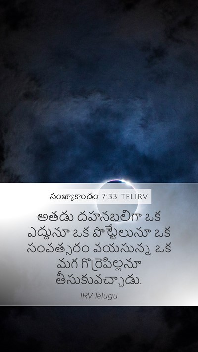 సంఖ్యాకాండం 7:33 TELIRV Mobile Phone Wallpaper - అతడు దహనబలిగా ఒక - Mobile Bible Verse Wallpaper