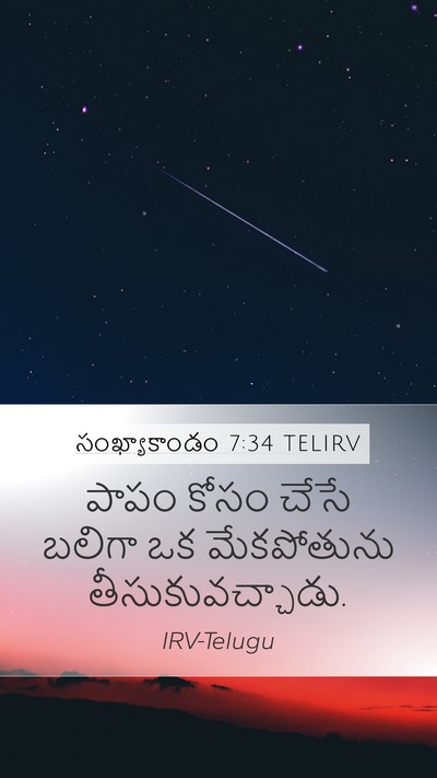 సంఖ్యాకాండం 7:34 TELIRV Mobile Phone Wallpaper - పాపం కోసం చేసే - Mobile Bible Verse Wallpaper