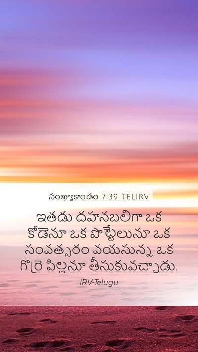 సంఖ్యాకాండం 7:39 TELIRV Mobile Phone Wallpaper - ఇతడు దహనబలిగా ఒక - Mobile Bible Verse Wallpaper