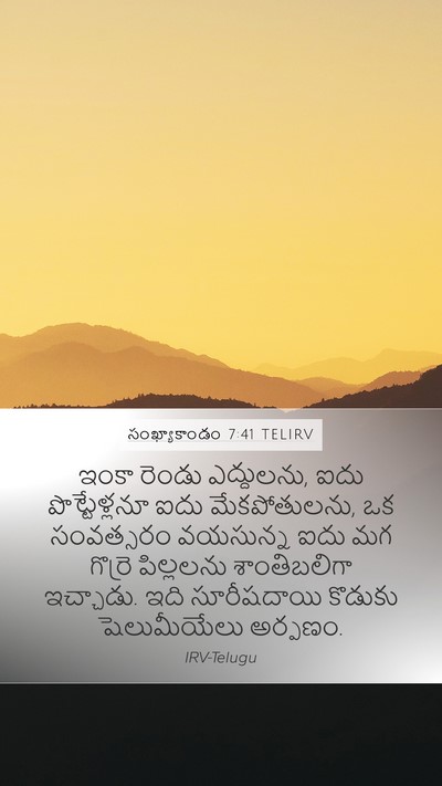 సంఖ్యాకాండం 7:41 TELIRV Mobile Phone Wallpaper - ఇంకా రెండు - Mobile Bible Verse Wallpaper